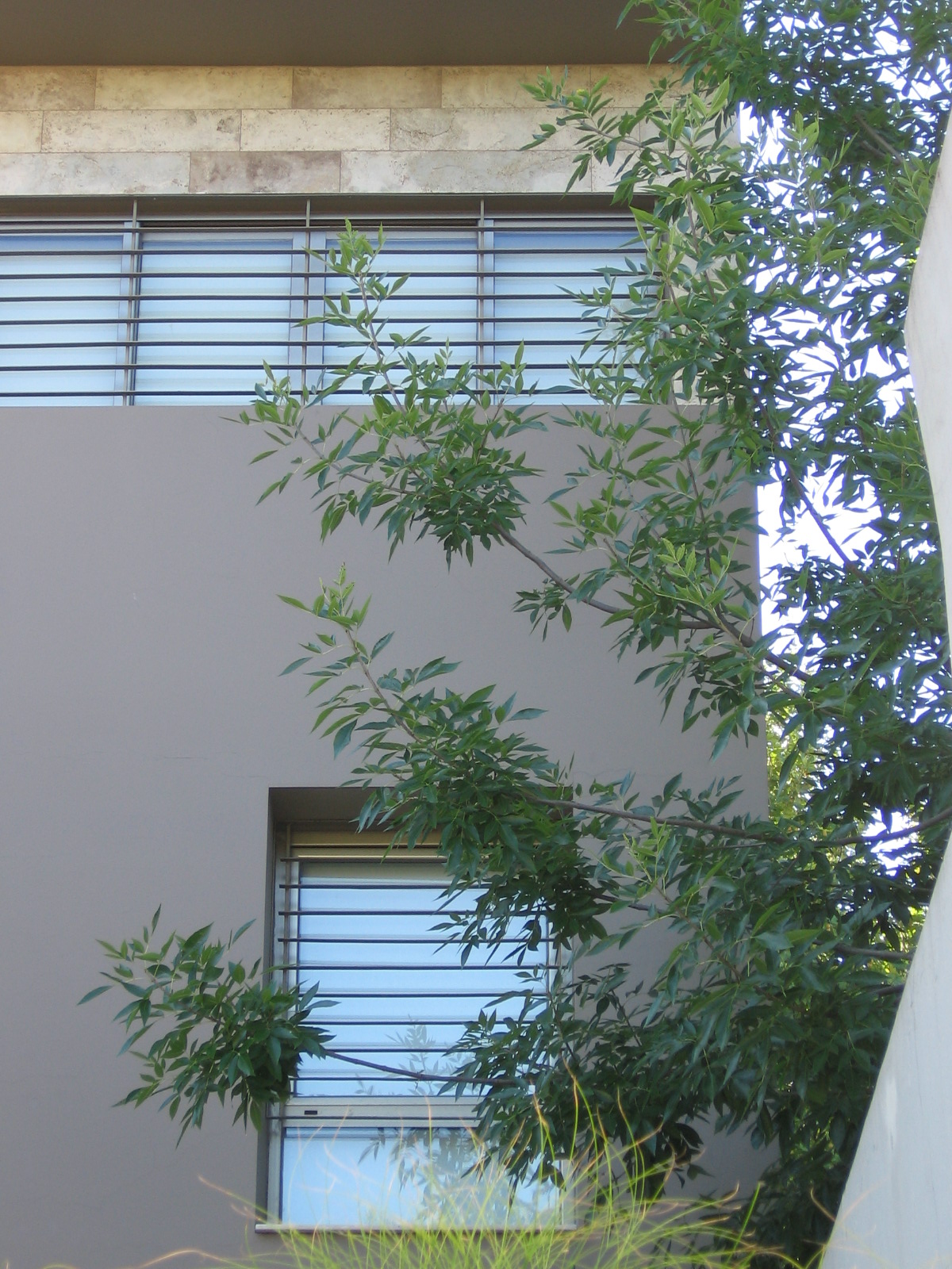 Obra5